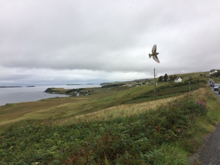 Foto di Annamaria Guzzeti