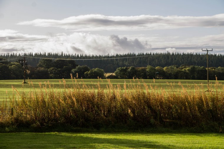 Brodie-Scozia-Nelcuoredellascozia-BeatriceRoat