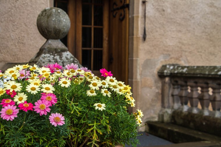 BrodieCastle-Scotland-BeatriceRoat