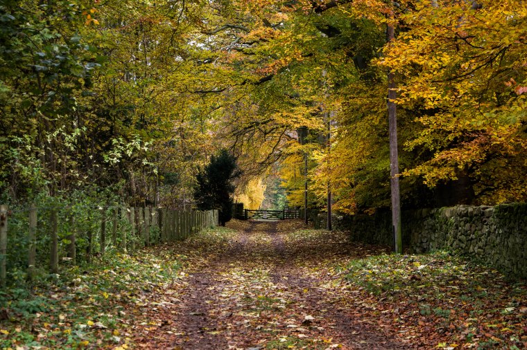 DryburghAbbey-Scozia-ScottishBorders-Nelcuoredellascozia-BeatriceRoat