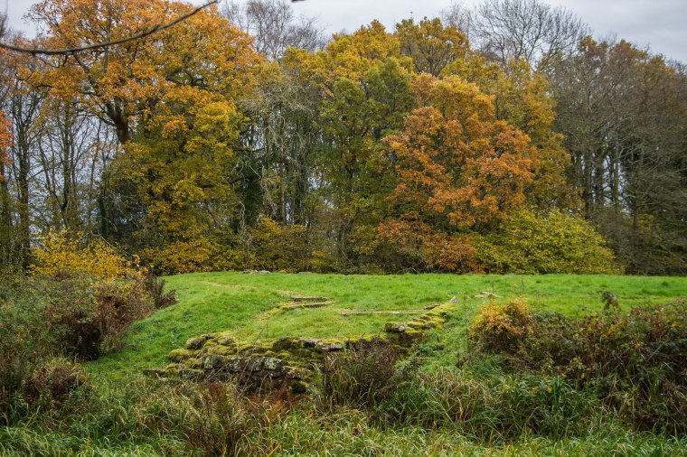 CaerlaverockCastle-Scotland-BeatriceRoat