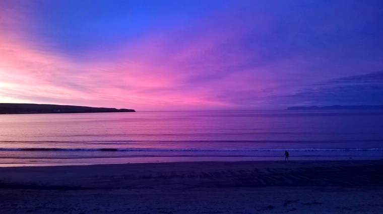 foto di Barbara Scavino