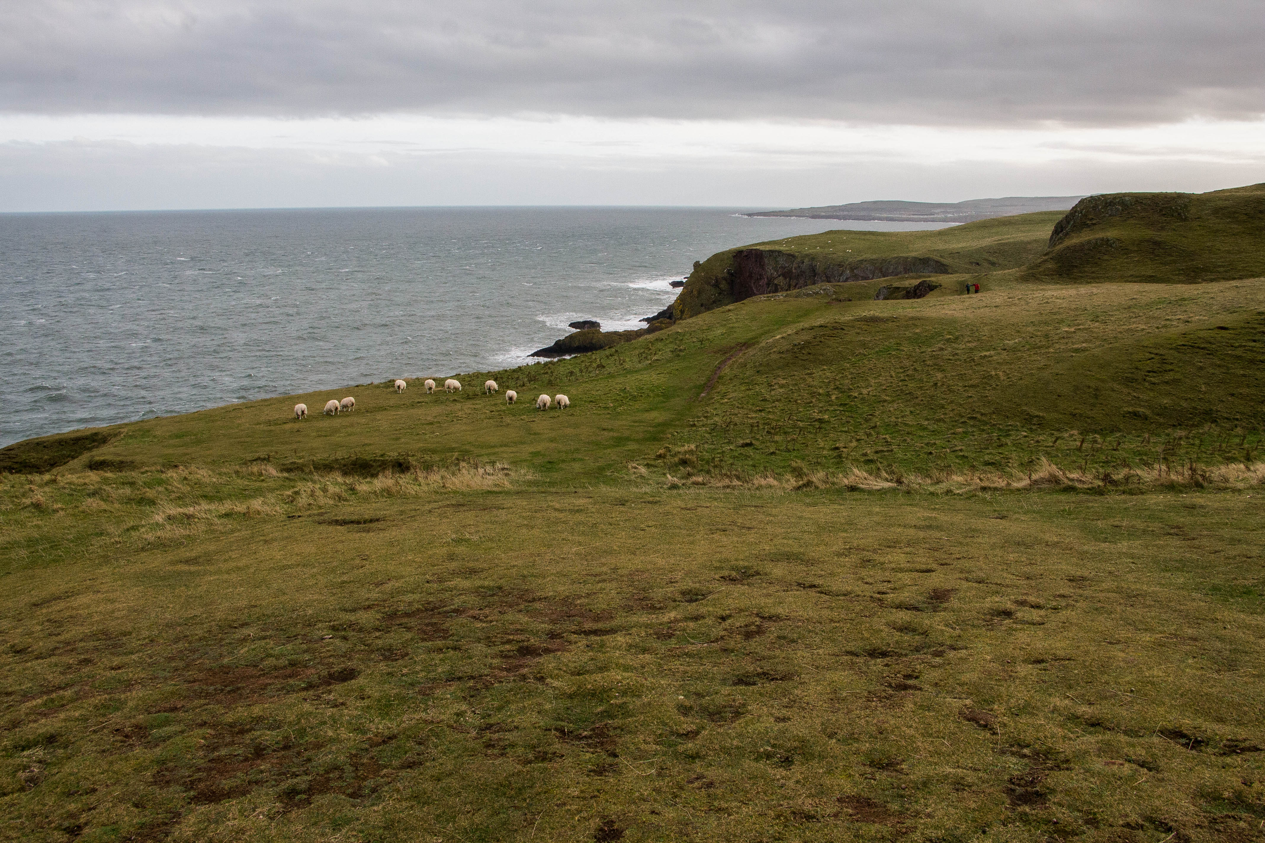 St Abb's Head Scotland Scozia BeatriceRoat 