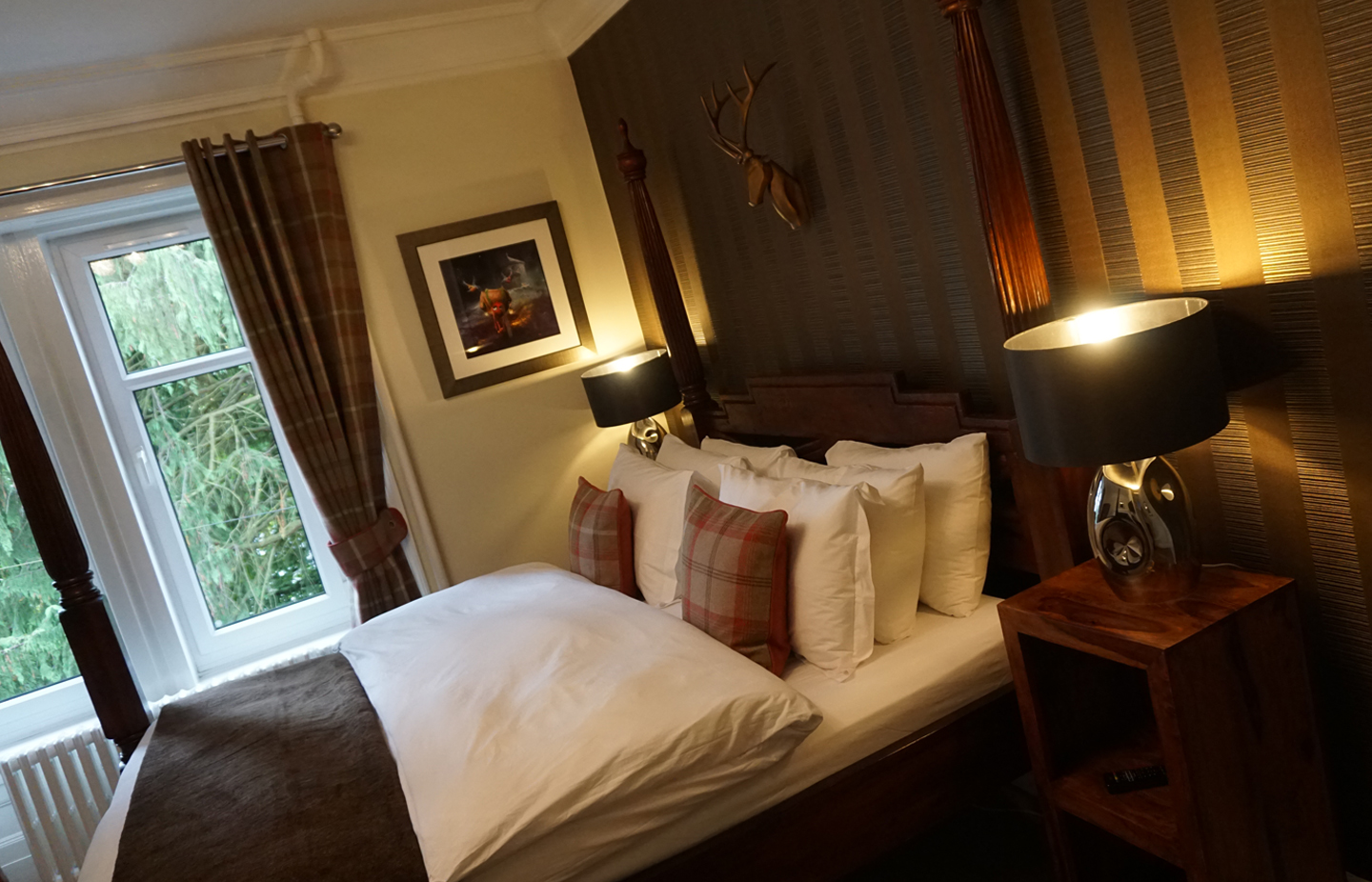 org_6_superiorsuperking