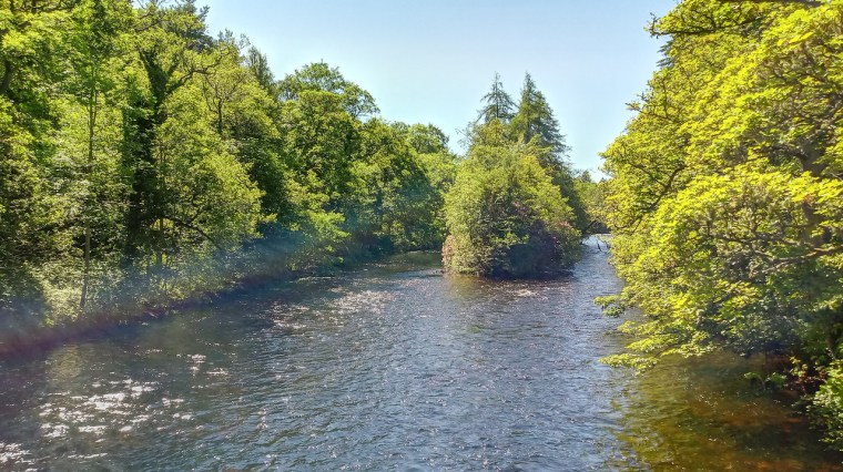 FOTO DI Francesco Zurlo